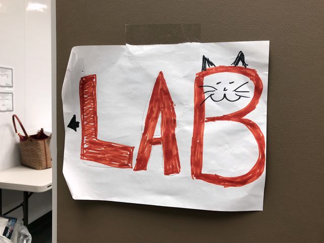 A paper sign reading "LAB" is posted on a wall. The sign is decorated with a cat face.